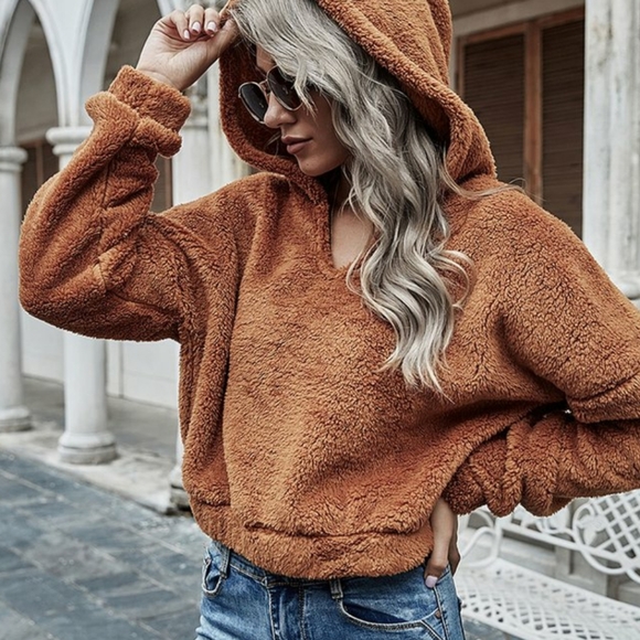 Brown Plush V-Neck Hooded Longsleeve Pullover - Picture 1 of 5